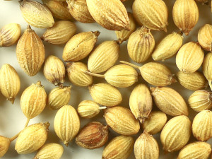 Terapia chelante contro i metalli pesanti: PERICOLO!